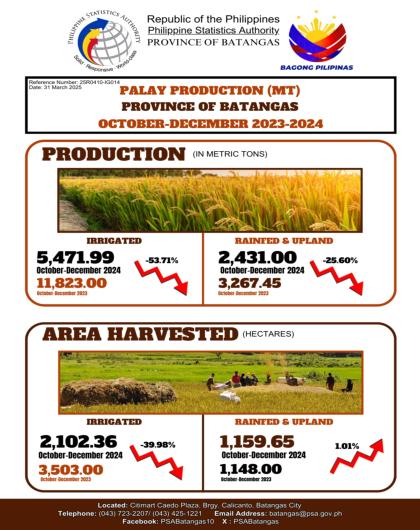 Palay Production Statistics 4th Quarter 2024