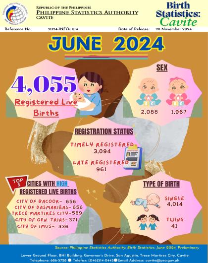 Cavite Birth Statistics: June 2024