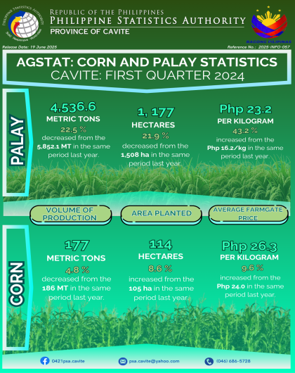 Cavite Agricultural Statistics - Palay and Corn Production: 1st Quarter 2024