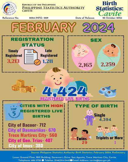 Cavite Birth Statistics: February 2024