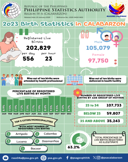 2023 Birth Statistics in CALABARZON