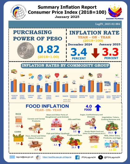 Infographics of Summary Inflation Report in Laguna: January 2025