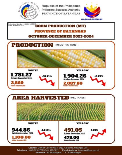 Corn Production Statistics 4th Quarter 2024