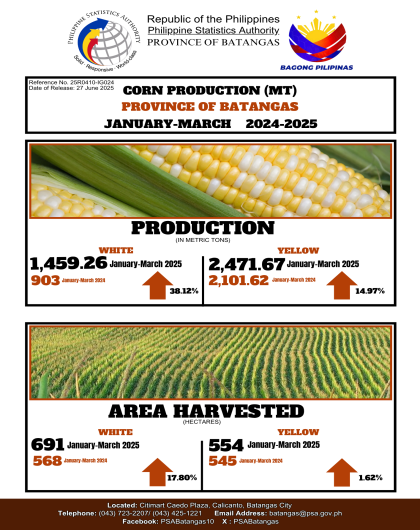 Corn Production in Batangas Province for the First Quarter of 2025