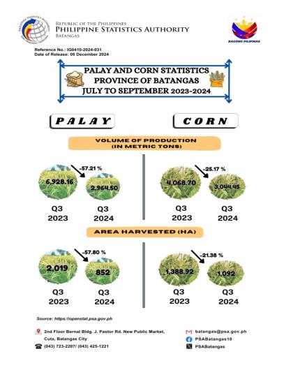 Palay and Corn Statistics in Batangas Province - July - September 2023 & 2024
